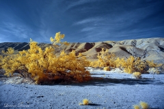 INFRARED_ANZA_BORREGO_APRIL16_2017 (98)_FINAL_01