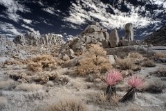 Anza-Borrego Desert