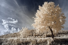 INFRARED_AREZZO_AUG16_2019-42_FINAL_15