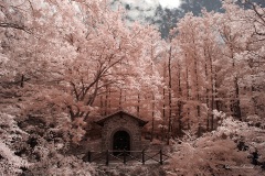 INFRARED_CAMALDI_AUG15_2019-32_FINAL_10