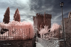 INFRARED_PERUGIA_AUG_17_2019_695-13_FINAL_10