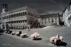 INFRARED_PERUGIA_AUG_17_2019_695-3_FINAL_10