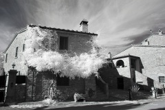 INFRARED_AREZZO_AUG16_2019-35_FINAL_14