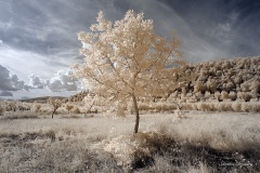 INFRARED_AREZZO_AUG16_2019-44_FINAL_15