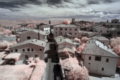 INFRARED_PERUGIA_AUG_17_2019_695-31_FINAL_10