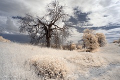 INFRARED_VOLCAN_MOUNT_SEPT_02_2019_695-35_FINAL_17