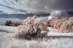 INFRARED_VOLCAN_MOUNT_SEPT_02_2019_695-78_FINAL_10