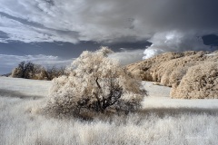 INFRARED_VOLCAN_MOUNT_SEPT_02_2019_695-78_FINAL_17