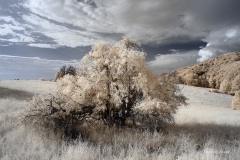 INFRARED_VOLCAN_MOUNT_SEPT_02_2019_695-80_FINAL_17