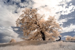 INFRARED_VOLCAN_MOUNT_SEPT_02_2019_695-31_FINAL_17