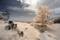 INFRARED_VOLCAN_MOUNT_SEPT_02_2019_695-14_FINAL_17