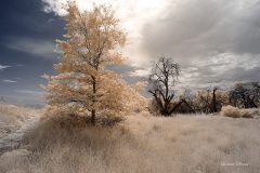 INFRARED_VOLCAN_MOUNT_SEPT_02_2019_695-16_FINAL_17