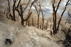 INFRARED_VOLCAN_MOUNT_SEPT_02_2019_695-3_FINAL_17