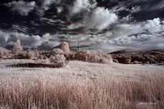 INFRARED_CUYAMACA_AUG03_2019_695-16_FINAL_10