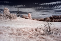 INFRARED_CUYAMACA_AUG03_2019_695-5_FINAL_10