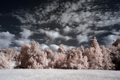 INFRARED_CUYAMACA_AUG03_2019_695-7_FINAL_10