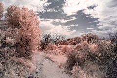 INFRARED_VOLCAN_MOUNT_SEPT_02_2019_695-60_FINAL_10