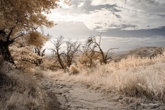 INFRARED_VOLCAN_MOUNT_SEPT_02_2019_695-85_FINAL_17