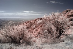 INFRARED_PALOMAR_MOUNT_SEPT_01_2019_695-25_FINAL_10