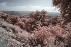 INFRARED_PALOMAR_MOUNT_SEPT_01_2019_695-76_FINAL_10