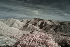 INFRARED_CEDAR_CREEK_JAN18_2019-3_FINAL_01