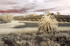 INFRARED_LAKE_MIRAMAR_695_JAN20_2019-16_FINAL_01