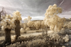 INFRARED_LAKE_MIRAMAR_695_JAN20_2019-30_FINAL_01