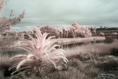 INFRARED_LAKE_MIRAMAR_695_JAN20_2019-32_FINAL_02