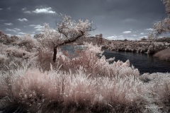 INFRARED_LAKE_MURRAY19_2019_695-3_FINAL_10