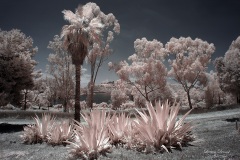 INFRARED_LAKE_MURRAY_JUNE18_2019_695-22_FINAL_10