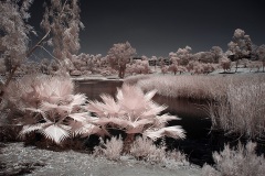 INFRARED_LAKE_MURRAY_JUNE18_2019_695-44_FINAL_10