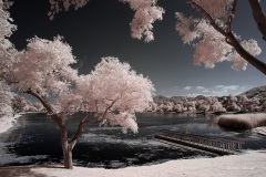 INFRARED_SANTEE_LAKES_JUNE23_2019_695-31_FINAL_10