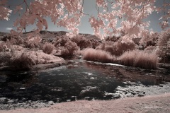 INFRARED_SANTEE_LAKES_JUNE23_2019_695-6_FINAL_10