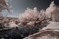 INFRARED_SANTEE_LAKES_JUNE23_2019_695-16_FINAL_10