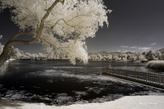 INFRARED_SANTEE_LAKES_JUNE23_2019_720-48_FINAL_06