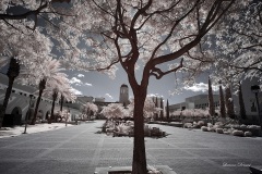 INFRARED_SDSU_720_DEC_29_2019-2_FINAL_10