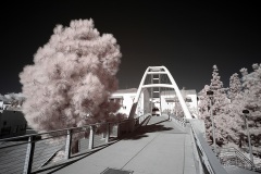 INFRARED_SDSU_720_DEC_29_2019-42_FINAL_10