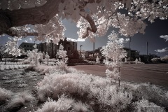 INFRARED_SDSU_720_DEC_29_2019-66_FINAL_10