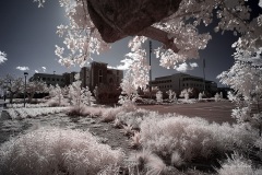 INFRARED_SDSU_720_DEC_29_2019-67_FINAL_10