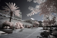 INFRARED_SDSU_720_DEC_29_2019-8_FINAL_10